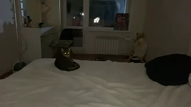 Онлайн чат XXX AlvinaMair