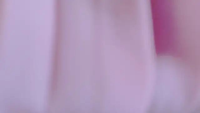 Adriana_Ivy Chat XXX in diretta