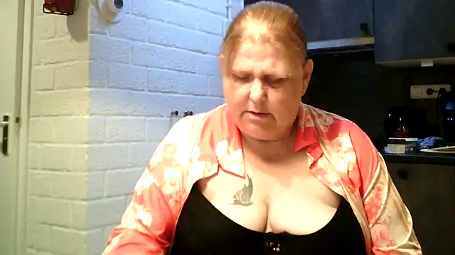 Sylviastar46n Webbikameraesitys