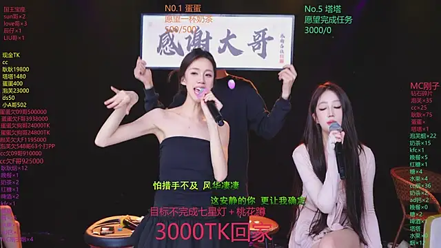 ZNZ-101n Webbikameraesitys