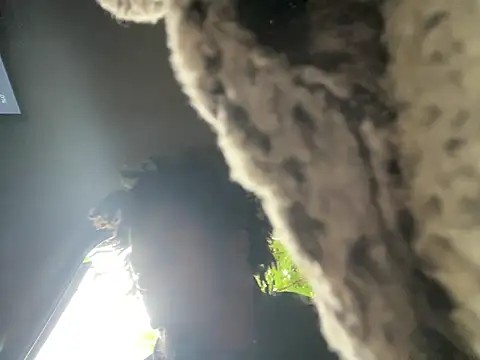 SlimeCrownzOut5 Show in webcam