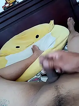 SkippedStill Webcam show