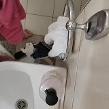 hardgetsexn Webbikameraesitys