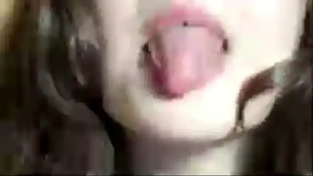 TealTeatime Live XXX-chat