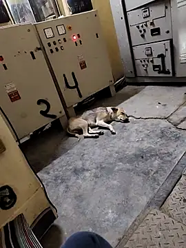 عرض كام ItsPlayboy031