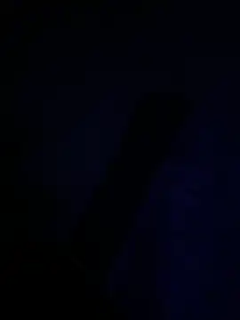 Cunzhangshibage02 Show Webcam