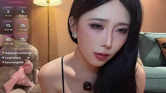 Show de webcam de AYW-21