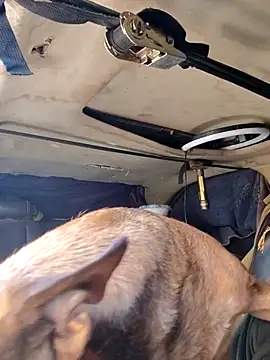 FloppyPickle4u's Webcam Show