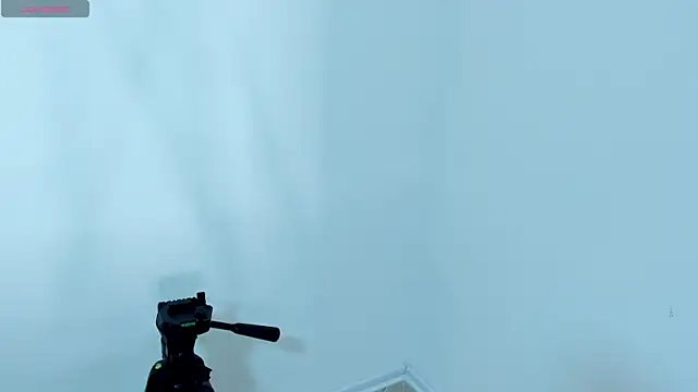 ELGRAN_JEFE Webcam show