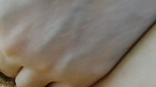 sonyx Adlı Modelin Canlı XXX Sohbeti