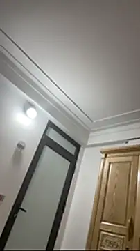 vietAnhzip 在線直播表演