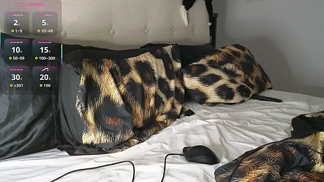 Chat XXX ao vivo de RyanStorm_