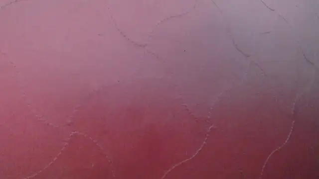 Hiroshi_Shenのウェブカメラショー