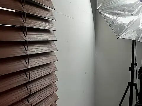 Edy_colttのウェブカメラショー