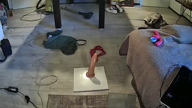 Hornybiboy66 Webcam-Show