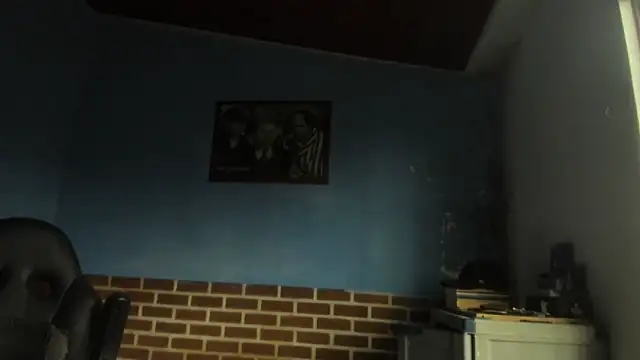 justinkarter 웹캠 쇼