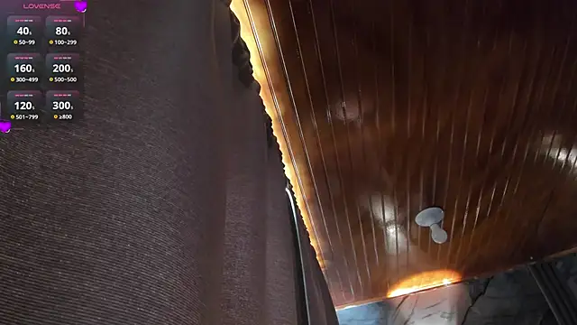 Manson_and_Zoen Webbikameraesitys