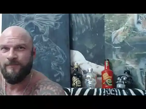 viking_30 Show in webcam