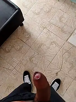 Andriofilitn Webbikameraesitys