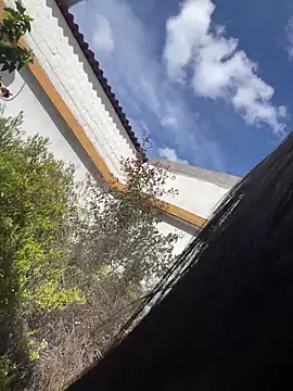 PamelaJonsom_ Live XXX Chat