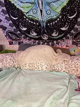 SuzyCatzz's Live XXX Chat