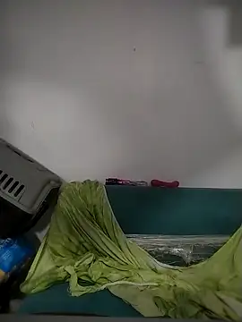 Hot_belinda Show Webcam