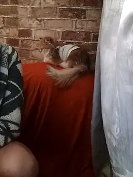 XXX chat uživo modela iforyouhere