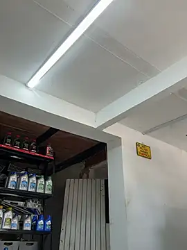 Chat XXX Live Paul22cm-