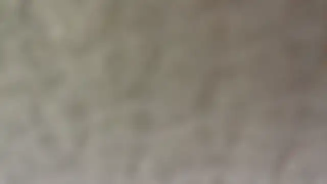 40000usd – Live XXX-chat