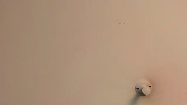 Vicky_Angeel 라이브 XXX 채팅