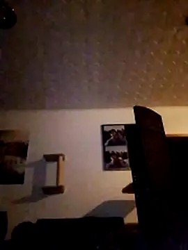 Pertunjukan Kamera Web Codymc89