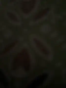 Rajkumar_X Webcam show