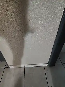 AlgeeBoksburgn Webbikameraesitys