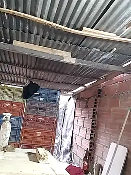 hoteder Chat XXX in diretta