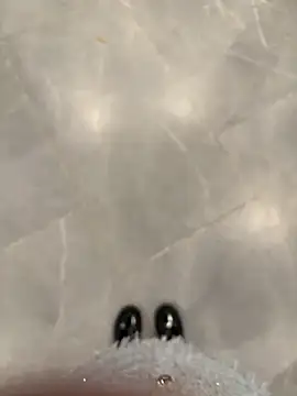 Pokazy przed kamerką – gougou13