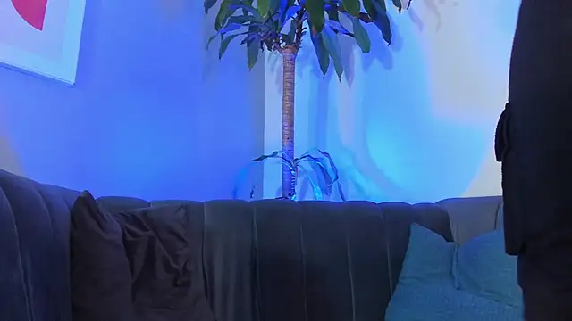 EthanSantori – Kamerová šou