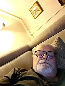 petvarad webcam show