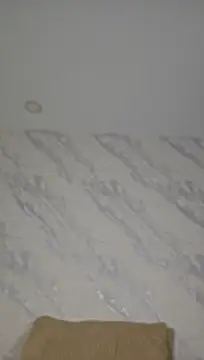 Monika-Ruiz: διαδικτυακό σόου στην κάμερα