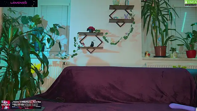 Chat XXX en directo de VenomVixen