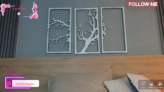 Elise-Leytonn Webbikameraesitys