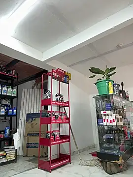 Paul22cm- 라이브 XXX 채팅