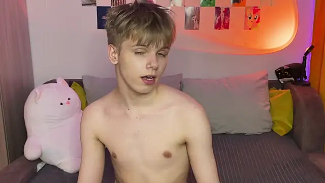 metarionn Webbikameraesitys