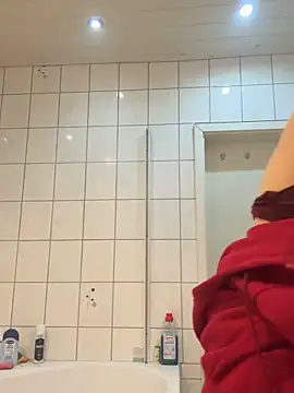 Lina-420n Webbikameraesitys