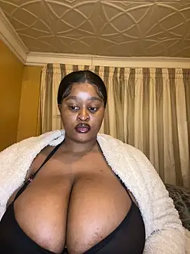 Bella-Porsche webkamerás műsora