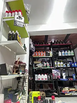 Webkamerová show Paul22cm-