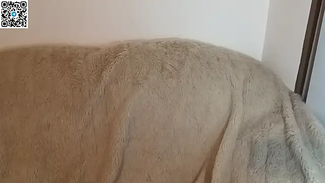 Онлайн чат XXX _ZaneX