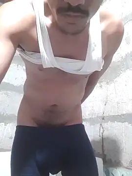 Show webcam de Burhade--