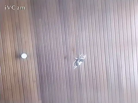 tuserasmia07 Live XXX Chat