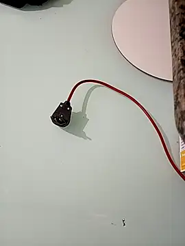 Show Webcam de will1980