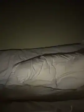 ledenjakn Webbikameraesitys